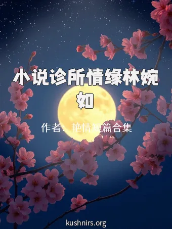 小说诊所情缘林婉如