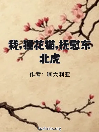 我,狸花猫,抚慰东北虎