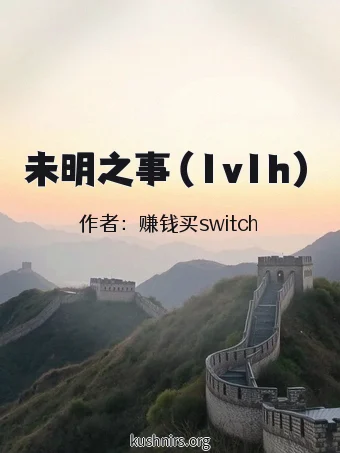未明之事（1v1h）