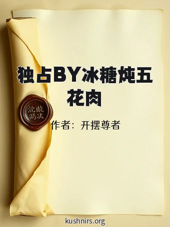 独占BY冰糖炖五花肉