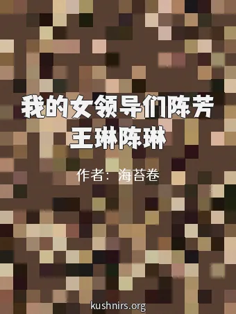 我的女领导们陈芳王琳陈琳