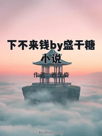 下不来钱by盛于糖小说