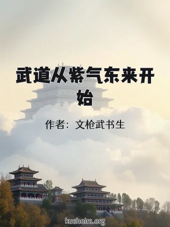 武道从紫气东来开始