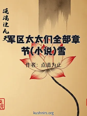 军区太太们全部章节(小说)雪