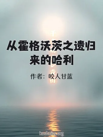 从霍格沃茨之遗归来的哈利