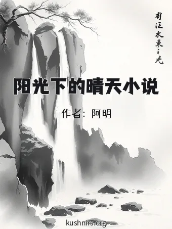 阳光下的晴天小说