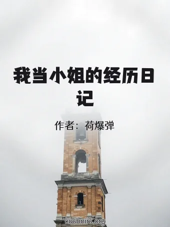 我当小姐的经历日记