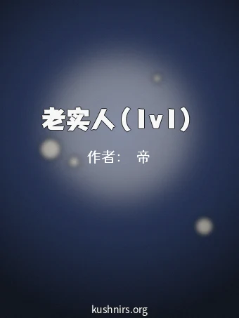 老实人（1v1）