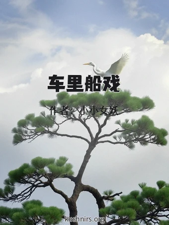 车里船戏