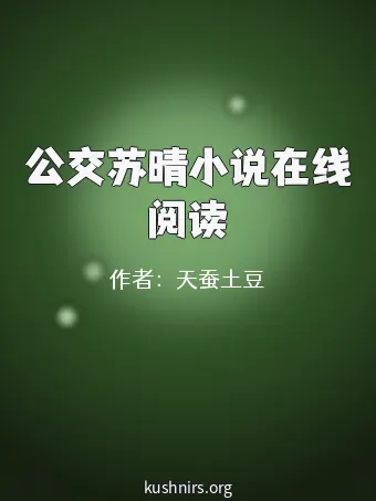 公交苏晴小说在线阅读