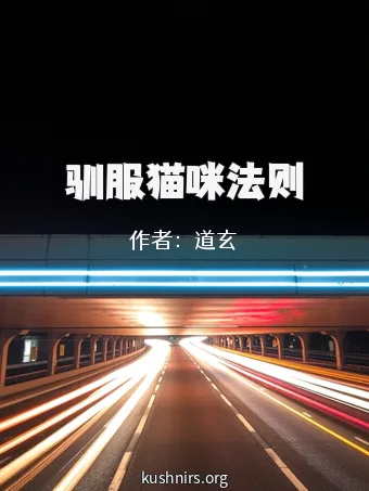 驯服猫咪法则