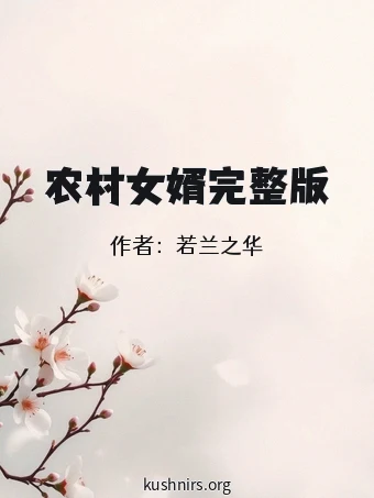 农村女婿完整版