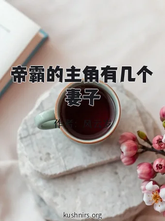 帝霸的主角有几个妻子
