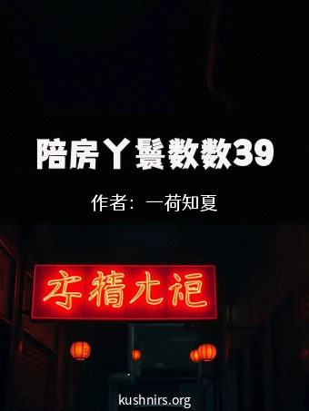 陪房丫鬟数数39