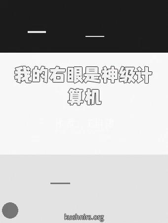 我的右眼是神级计算机