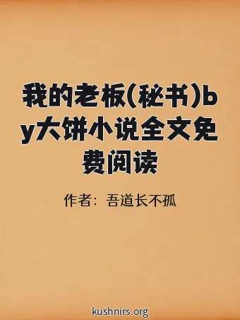 我的老板(秘书)by大饼小说全文免费阅读