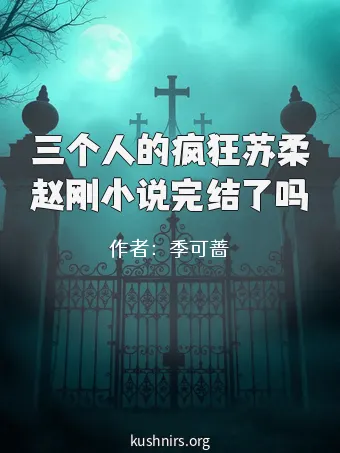 三个人的疯狂苏柔赵刚小说完结了吗