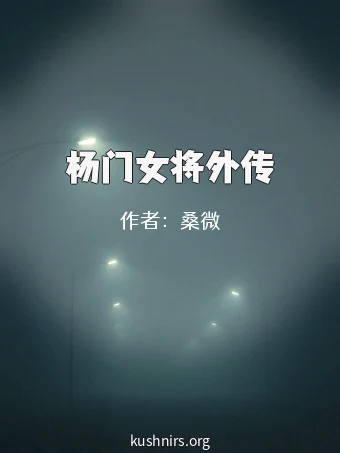 杨门女将外传