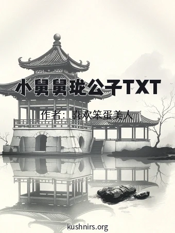 小舅舅珑公子TXT