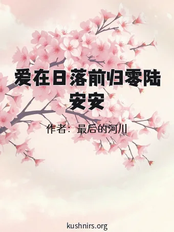 爱在日落前归零陆安安