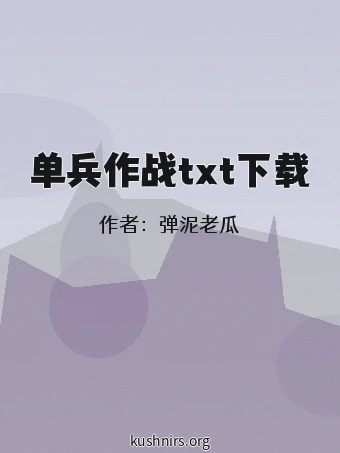 单兵作战txt下载