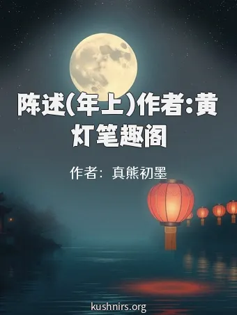 陈述(年上)作者:黄灯笔趣阁