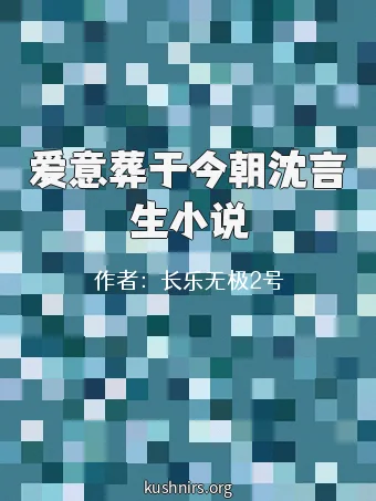 爱意葬于今朝沈言生小说