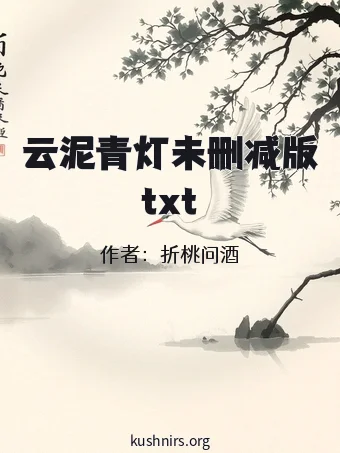 云泥青灯未删减版txt