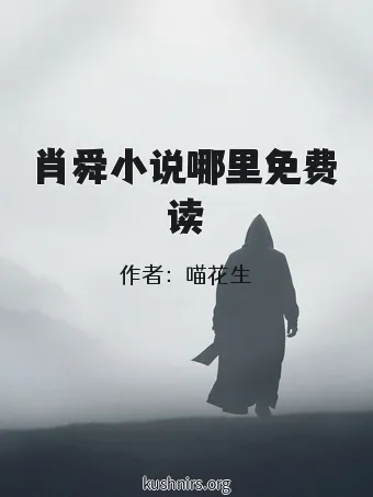 肖舜小说哪里免费读
