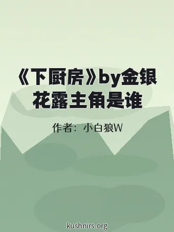 《下厨房》by金银花露主角是谁