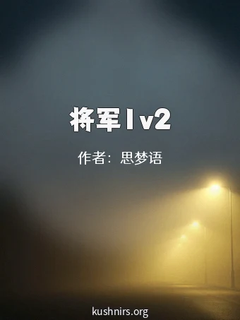 将军1v2