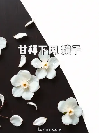 甘拜下风 镜子