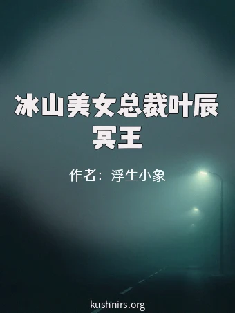冰山美女总裁叶辰冥王