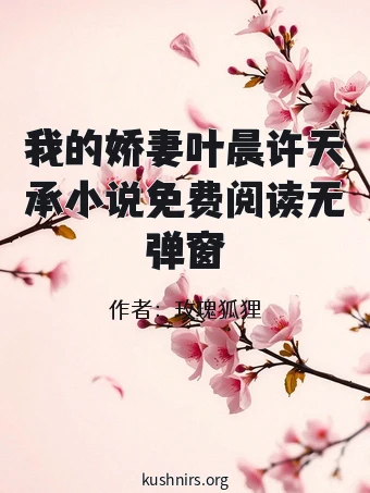 我的娇妻叶晨许天承小说免费阅读无弹窗