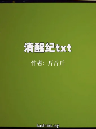 清醒纪txt