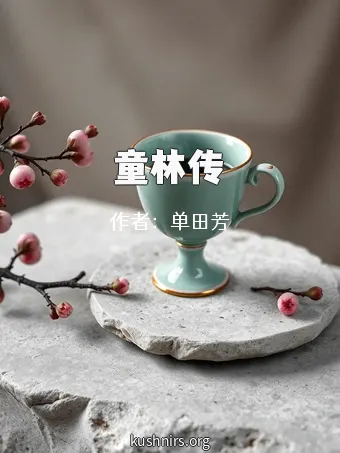童林传