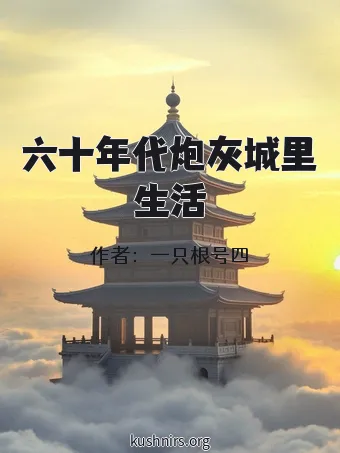 六十年代炮灰城里生活