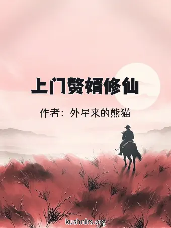 上门赘婿修仙