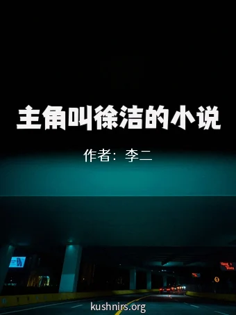 主角叫徐洁的小说