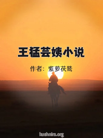 王猛芸姨小说