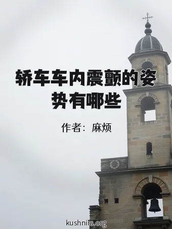 轿车车内震颤的姿势有哪些