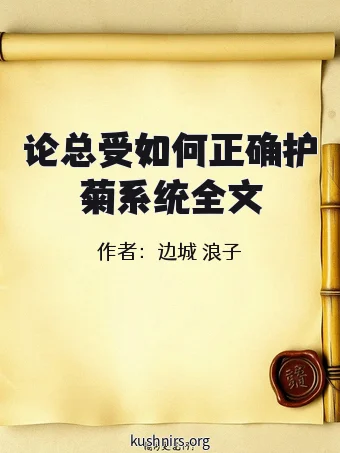 论总受如何正确护菊系统全文