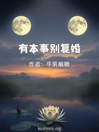 有本事别复婚