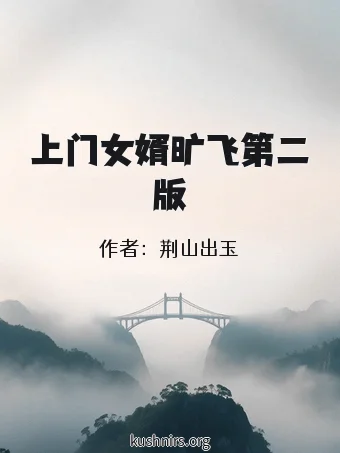 上门女婿旷飞第二版