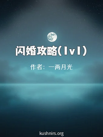 闪婚攻略(1v1)