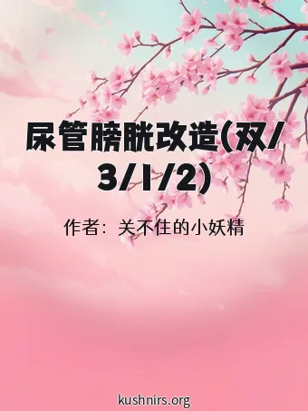尿管膀胱改造(双/3/1/2)