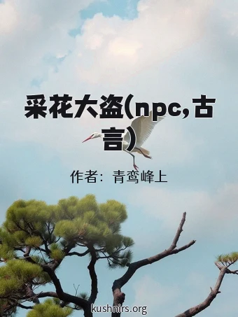 采花大盗(npc,古言)