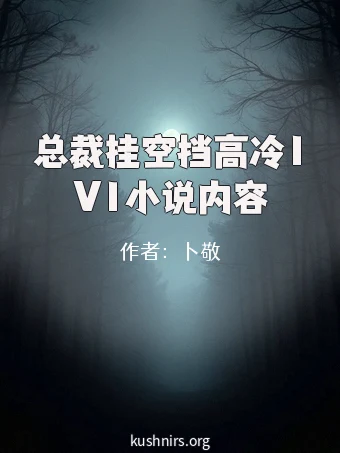 总裁挂空挡高冷1V1小说内容