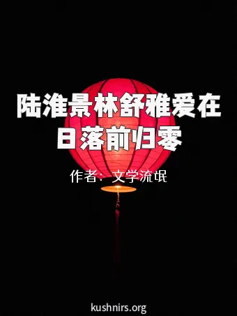 陆淮景林舒雅爱在日落前归零