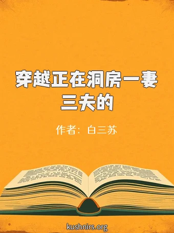 穿越正在洞房一妻三夫的